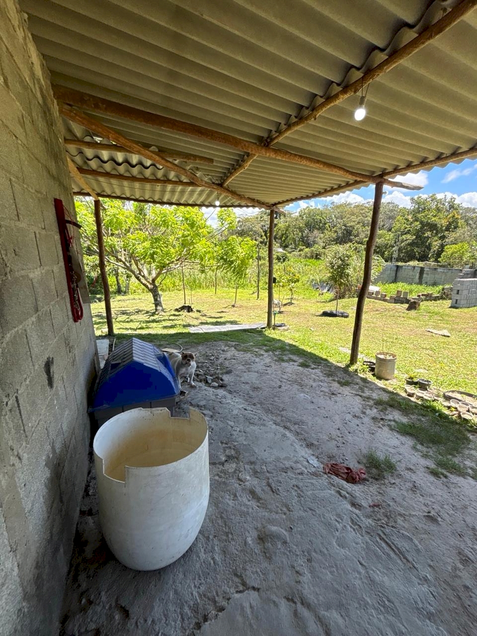 Imagem imóvel Chácara - Ótima Oportunidade