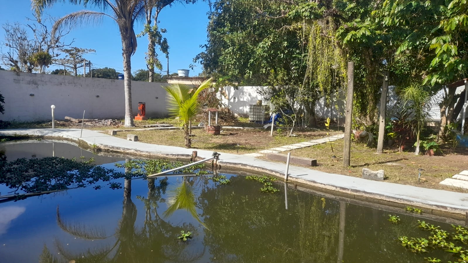 Imagem imóvel Chácara - Oportunidade!