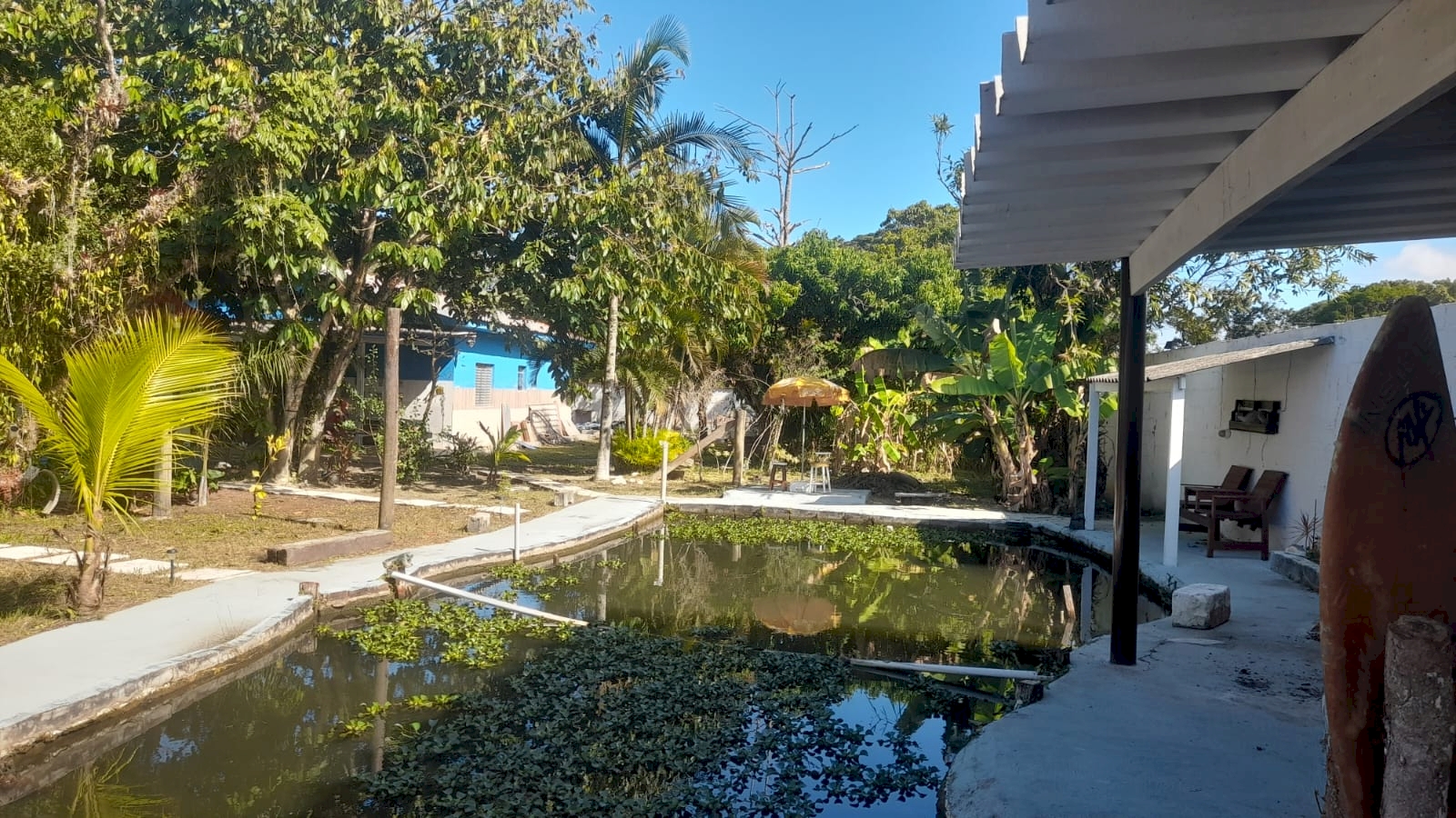 Imagem imóvel Chácara - Oportunidade!