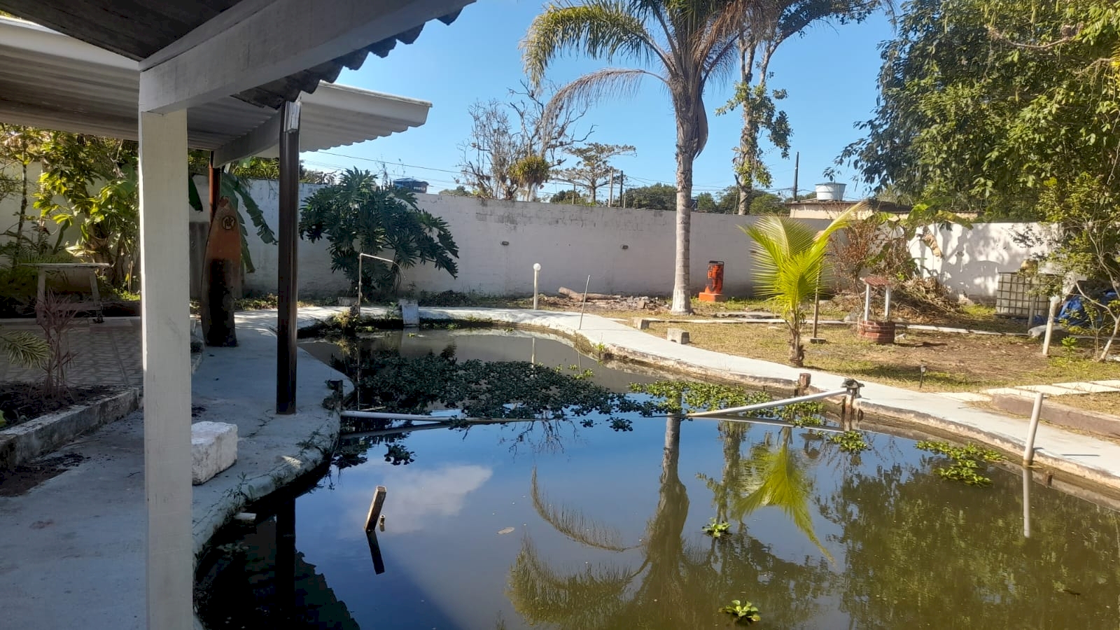 Imagem imóvel Chácara - Oportunidade!