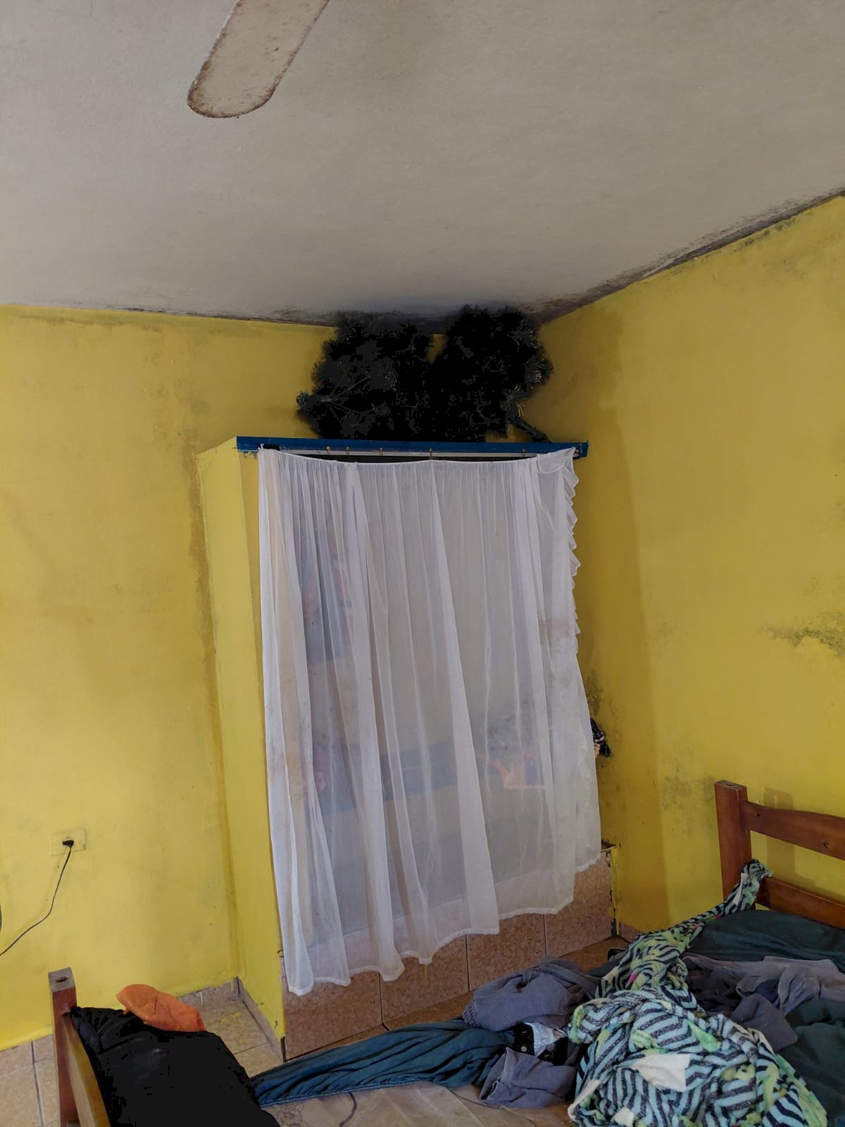 Imagem imóvel Casa Residencial - Lado Pista