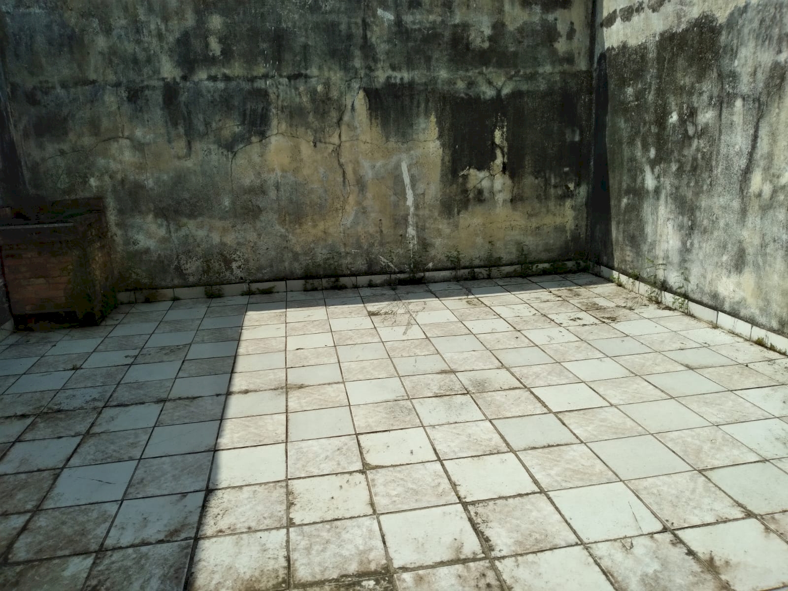 a98781633a2232feea6b803c31ebb107.jpg