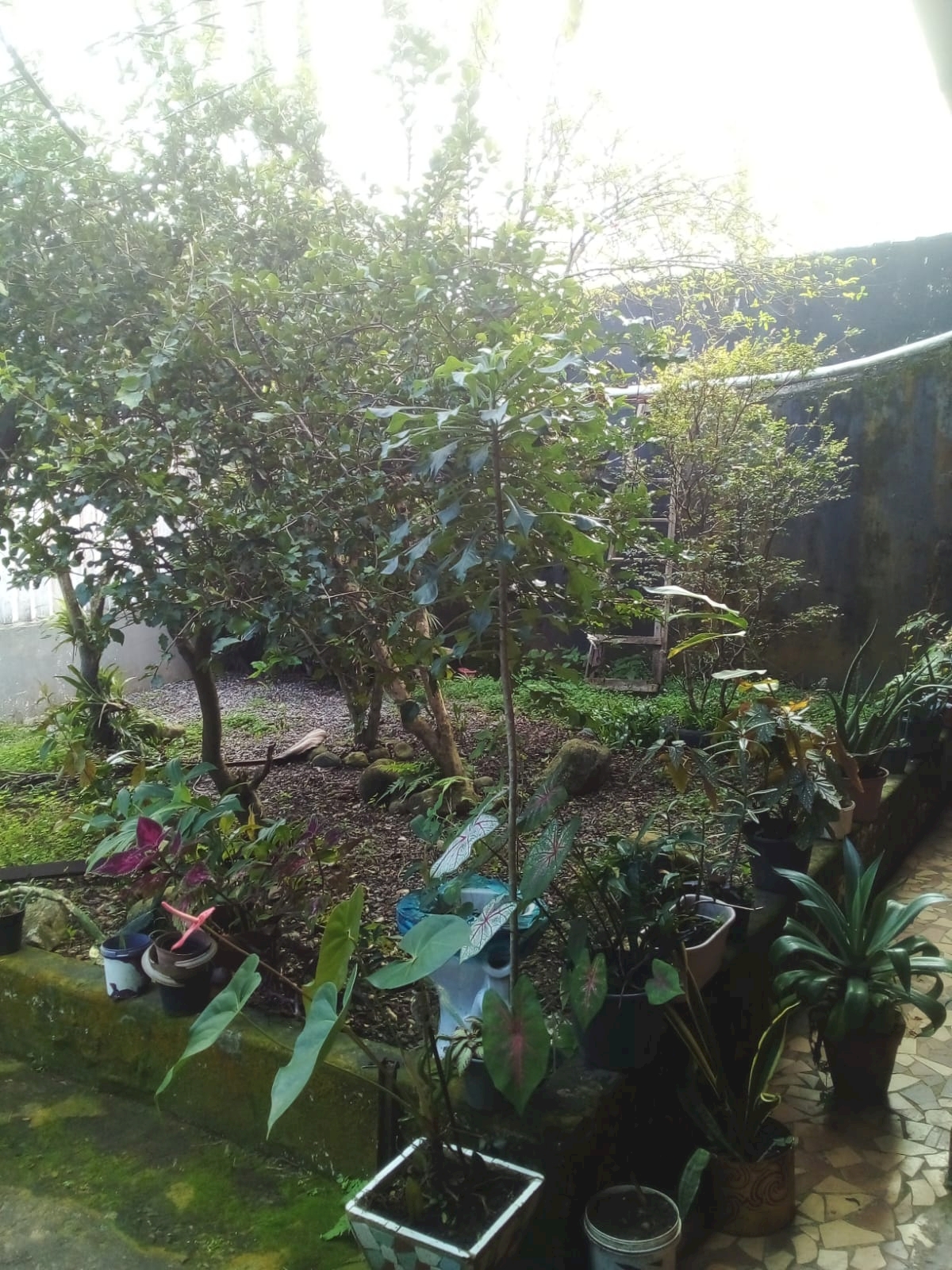 73c9d0600621ab09bb8d2b54b799637e.jpg