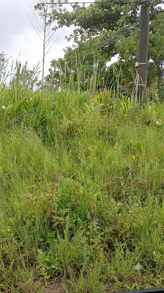 Terreno próximo à praia no bairro Jd Jamaica
