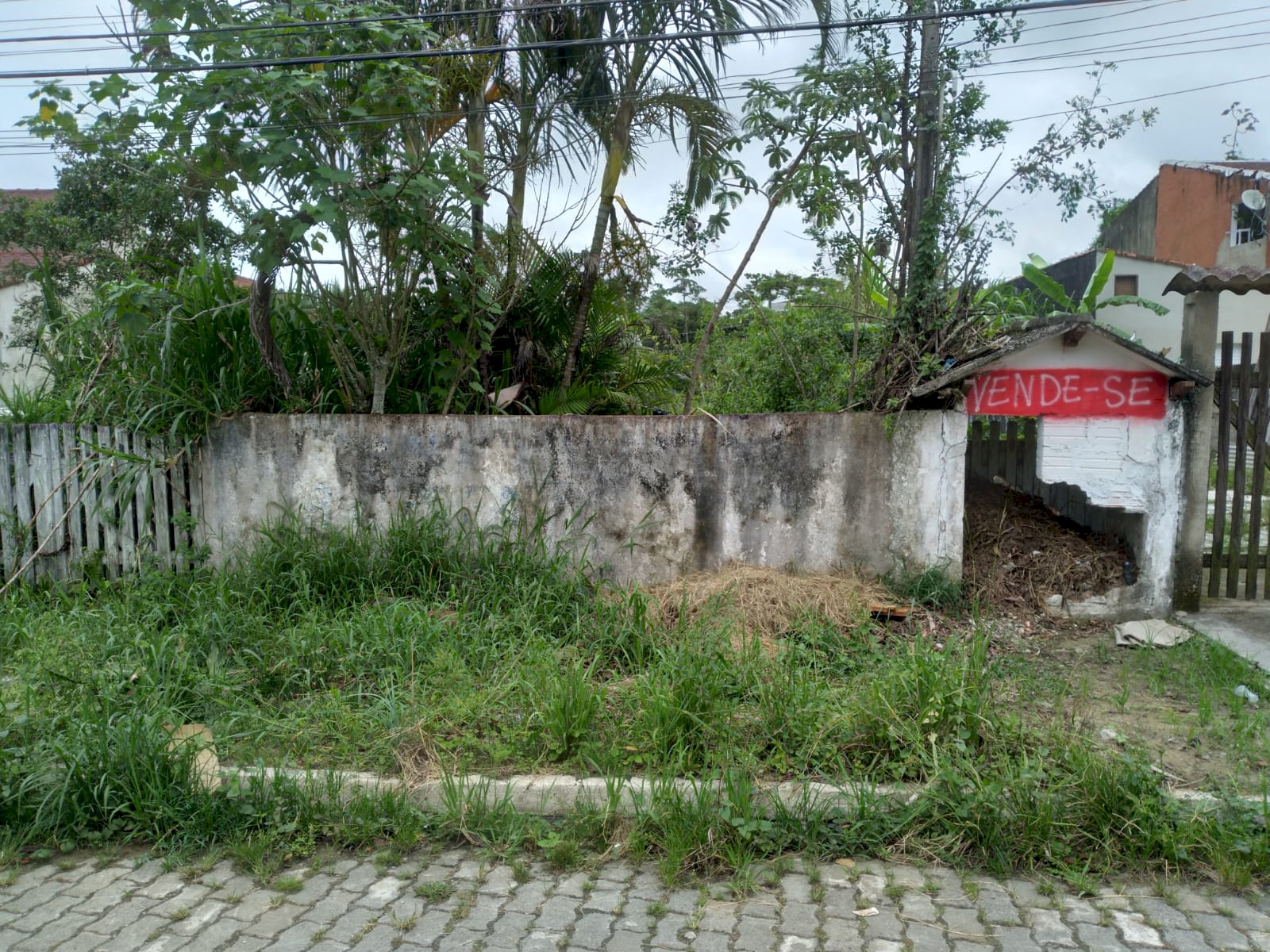 75ab0252bcf55ed0705275efab4db9a7.jpg
