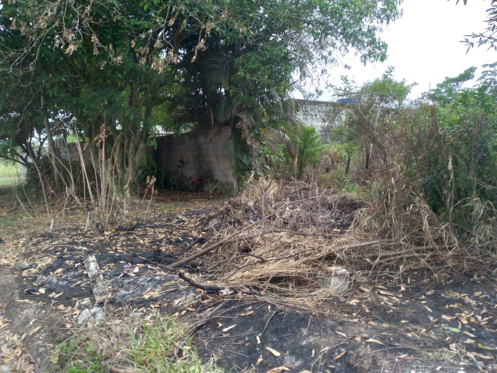 Terreno com 1000m²